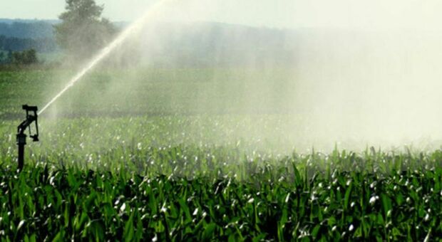 Sistema di irrigazione nella Bassa friulana
