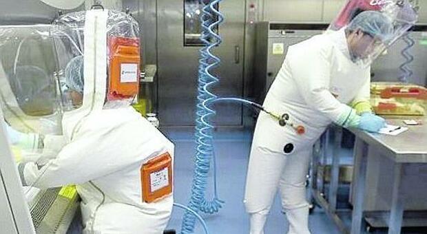 Mario Landi Pipistrelli tenuti vivi, in gabbia, nell'Istituto di Virologia di