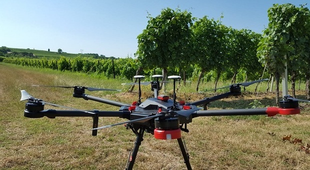 Il drone ha il compito di controllare la salute dei vitigni