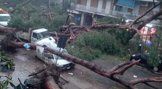 Napoli, 21enne muore schiacciato da albero caduto a Fuorigrotta