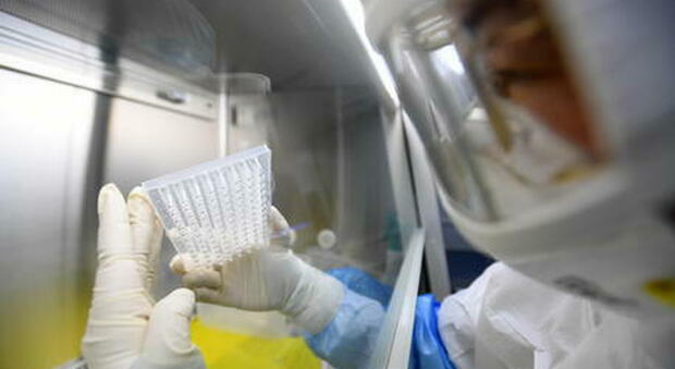 Coronavirus nato in laboratorio a Wuhan, Fauci chiede alla Cina 9 cartelle cliniche