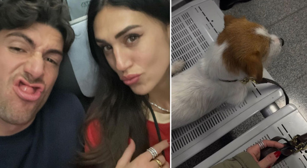 Cecilia Rodriguez in viaggio con Ignazio e i suoi due cani per l’Argentina: «Ci hanno cancellato un volo»