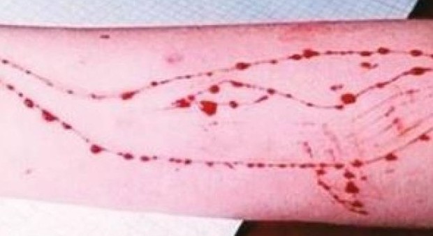 Blue Whale, Elisa ha 13 anni: "Ho fatto il gioco del suicidio" Blue Whale, Elisa ha 13 anni: "Ho fatto il gioco del suicidio"