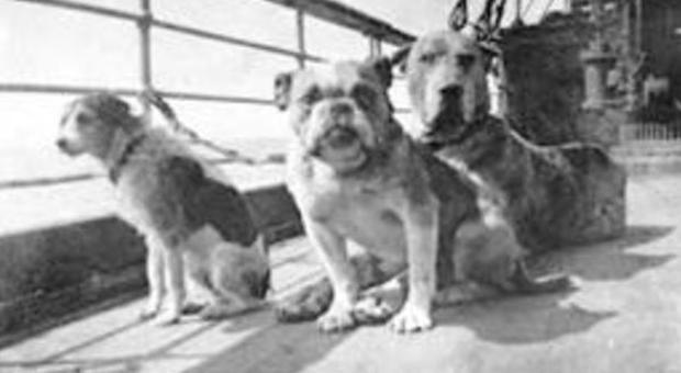 Il ricordo Sul Titanic anche 12 cani: salvi solo quelli dei ricchi