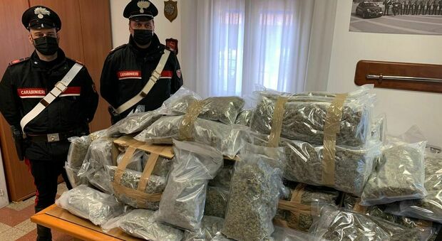 Carabinieri arrestano un narcotrafficante: trasportava 60 chilogrammi di marijuana