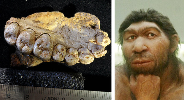 Neanderthal, scoperti fossili in Israele che fanno riscrivere la storia dell'evoluzione dell'uomo