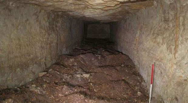 Egitto, riportata alla luce una tomba con otto milioni di mummie di cani