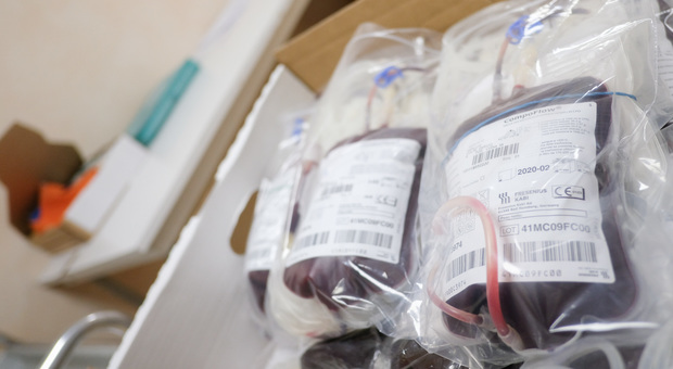 Allarme carenza sangue: appello a donare anche in estate. Ecco a chi rivolgersi