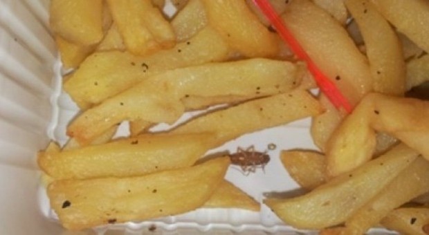 La blatta dentro le patatine fritte