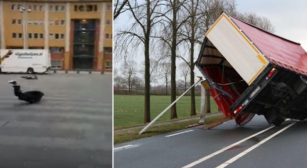 La tempesta di vento spazza l'Europa: treni fermi in tutta la Germania. 8 morti