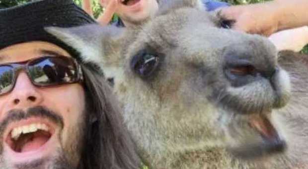 ​Anche i canguri contagiati dalla selfie mania