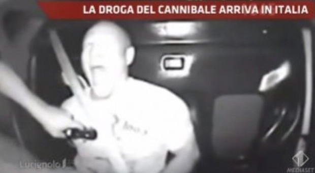 La droga del cannibale in Italia. Gli effetti: «Come andare all'inferno»