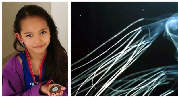 Bimba romana di 7 anni uccisa da una medusa nelle Filippine: era in vacanza con la famiglia