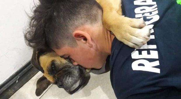 Cane muore d'infarto a causa dei fuochi d'artificio: la straziante foto dell'abbraccio col padrone fa il giro del mondo