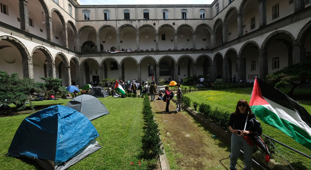 immagine Napoli, studenti pro Palestina in tenda alla Federico II (NeaPhoto Valeria Gigliano)