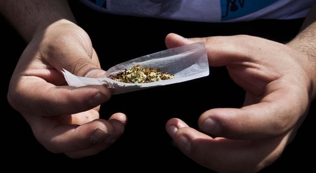 Cannabis, anche un solo spinello modifica il cervello di un adolescente