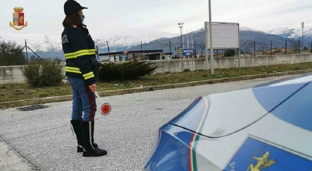 Civitanova, trasportava 165 suini dal Belgio, stipati e senza acqua: maxi multa al camionista sull'autostrada