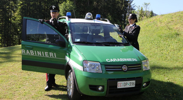 I carabinieri "verdi" in Friuli Venezia Giulia