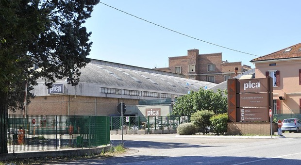 Pesaro, la multinazionale vuole chiudere la Pica e licenziare tutti i 60 dipendenti