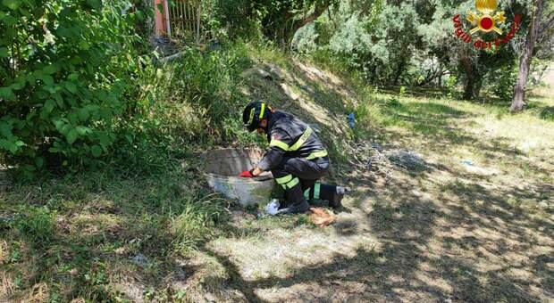 Bambina cade in un pozzo, salvata dai vigili del fuoco: ricoverata a Torrette