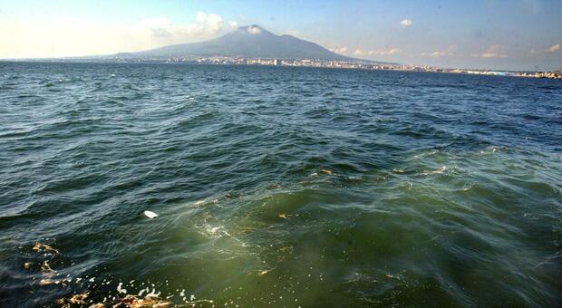 L'inquinamento nel Golfo di Napoli