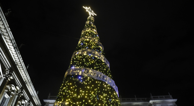 Ecco l'albero di Natale di Roma, dedicato alla Costituzione: la cerimonia in Campidoglio con il sindaco Gualtieri