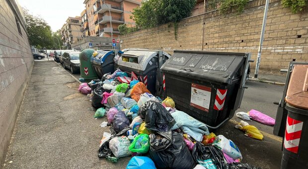 immagine Roma, 300 netturbini in strada contro l'emergenza rifiuti