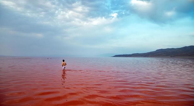 Il lago Urmia si tinge di rosa: le immagini sono mozzafiato, ma il motivo è preoccupante