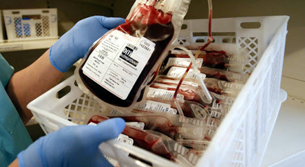 Donano il sangue e poi tutti in sala operatoria: così i medici hanno salvato dall'emorragia una bambina di otto anni