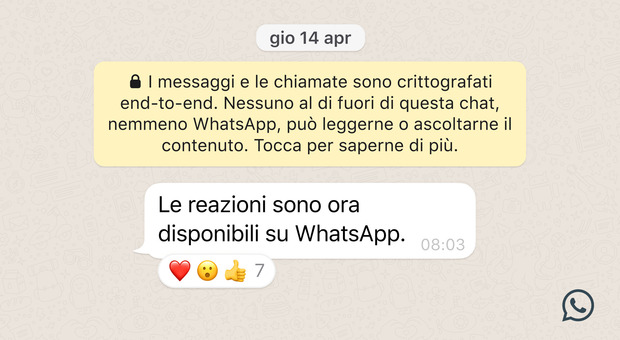 WhatsApp, come si mandando le "reactions"? La guida: il "Mi piace" arriva sull'app di messaggistica