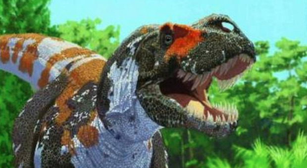 «I dinosauri a due zampe oscillavano la coda per correre più veloci», la ricerca