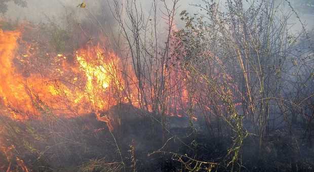 Il fuoco brucia ancora i boschi irpini, le fiamme arrivano alla provinciale