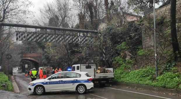 Roma, grandinata lampo: cade albero in via di Porta Furba