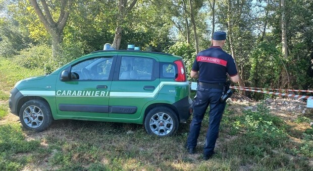 Picchiata al parco, donna muore a Rovereto dopo il ricovero: arrestato un 40enne. Aveva provato a violentarla