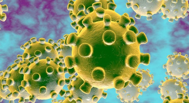Coronavirus, contagio «più rapido» con temperature tra 8 e 12 gradi. Studio italiano, l'estate resta un'incognita