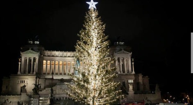Roma, per "Spelacchio" spesi 48mila euro: il triplo dell'albero di Natale dello scorso anno