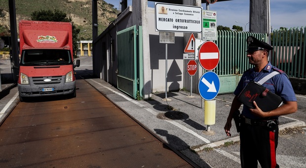 Mandragora, a Napoli controlli su 152 casse di verdura potenzialmente pericolosa: nessun esito