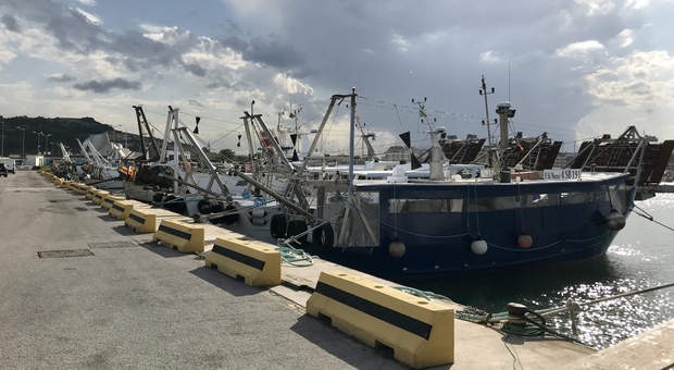 I ristoratori solidarizzano per principio con la marineria ma sono preoccupati per lo sciopero: «Senza pesce fresco a tavola chiudiamo»