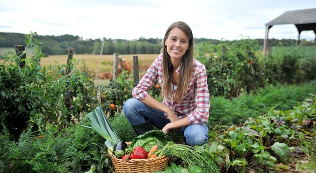 Agricoltura nel Mezzogiorno è boom di posti per i giovani
