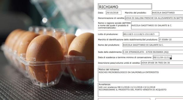 Uova contaminate dalla salmonella: i lotti ritirati dai supermercati