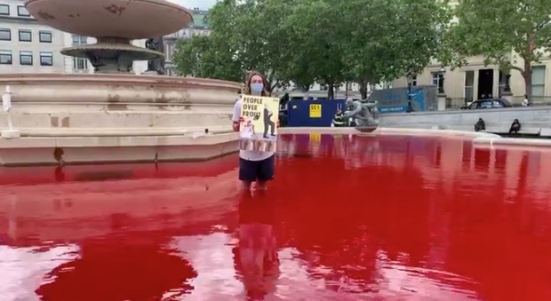 Londra, animalisti tingono di rosso le fontane di Trafalguar Square: «Sfruttamento animali vera causa del Covid»