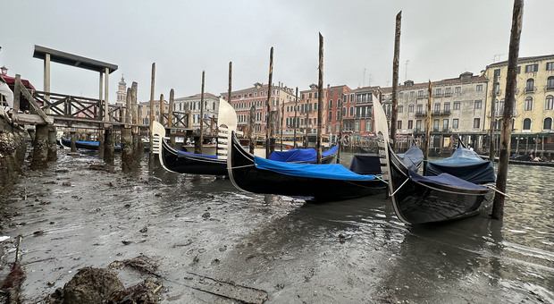 Veneto, non piove dal 25 gennaio: natura in tilt