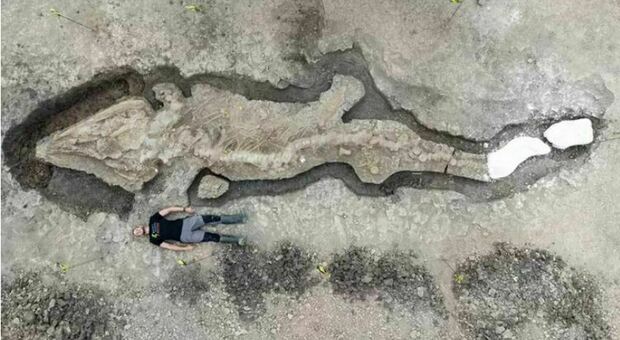 Cerca rocce e trova un drago marino preistorico di 10 metri: incredibile scoperta vicino Londra