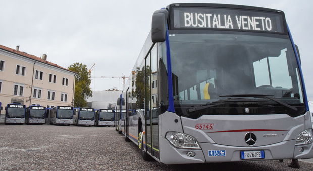 Bus notturni "a chiamata", addio alle linee fisse: esperimento a Padova