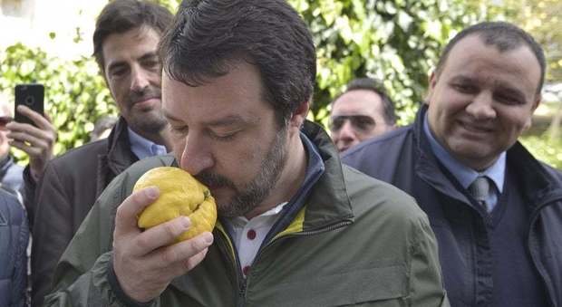 Il limone di Salvini