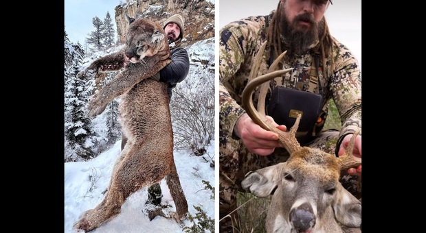 Derek Wolfe immortalato con puma e cervo uccisi. (immag diffuse dallo stesso Wolfe sulla propria pagina social)