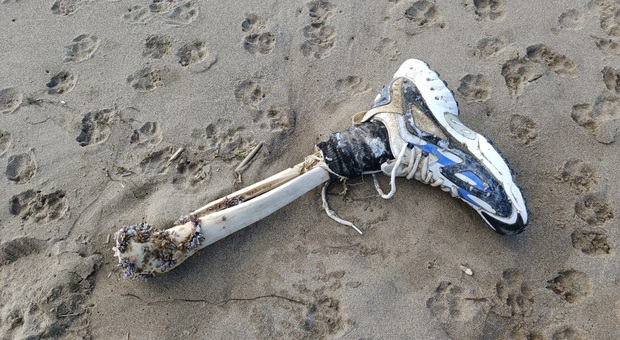 La tibia ritrovata sulla spiaggia