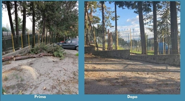 A Buccino i tronchi abbattuti saranno utilizzati nel giardino pedagogico “Mimì e Peppino”