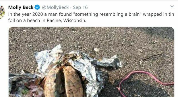 Un uomo trova un cervello avvolto in un foglio di alluminio su una spiaggia negli USA