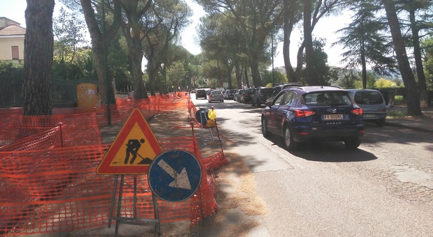 Benevento: pini sotto sequestro, via le barriere della discordia